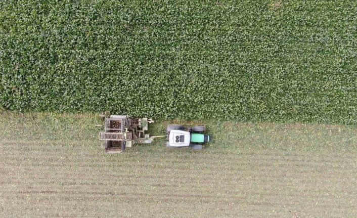 Kastamonu’da çiftçilerin zorlu pancar mesaisi devam ediyor