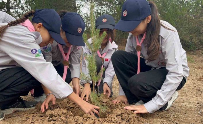 Kastamonu’da fidanlar toprakla buluştu