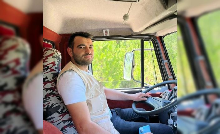Kastamonu’da üzerine ağaç devrilen şahıs yaralandı
