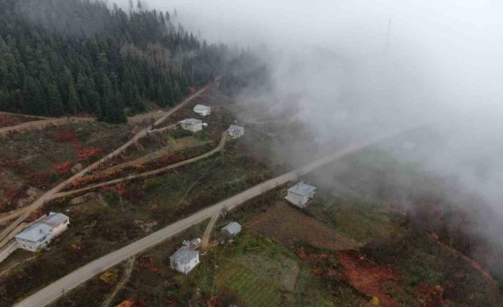 Kastamonu’da Yaralıgöz geçidinde sis nedeniyle görüş mesafesi düştü