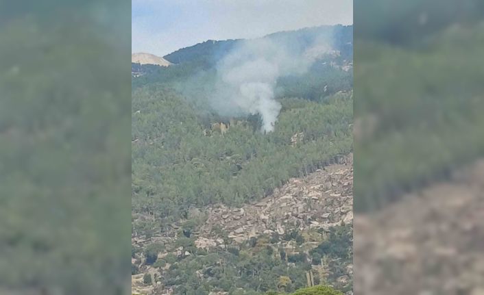 Kavaklıdere’deki orman yangını kontrol altına alındı