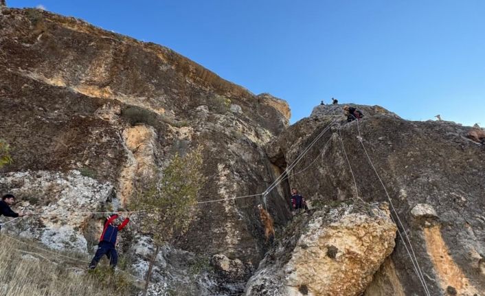 Kayalıklarda mahsur kalan 25 keçi kurtarıldı