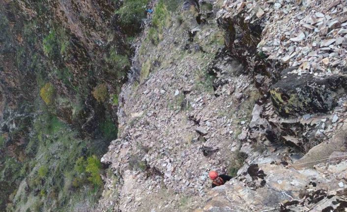 Kayalıklarda mahsur kalan keçiler kurtarıldı