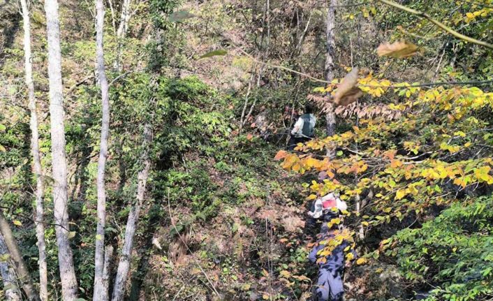 Kayıp annenin cesedini kuzgunu takip eden vatandaşlar bulmuş