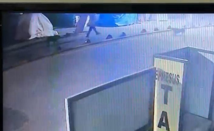 Kendisine saldıran sokak köpeğini vuran emekli astsubay serbest bırakıldı