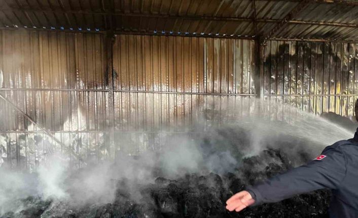 Keşan’da çıkan yangında bin saman balyası yandı