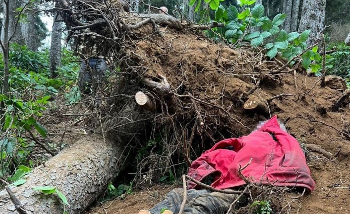 Kestiği ağacın altında kalan bir kişi hayatını kaybetti