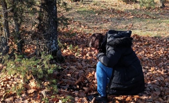 Kırklareli’nde süne ile mücadele hamlesi: Sonbahar Kışlak Sürveyleri çalışmalarına başladı