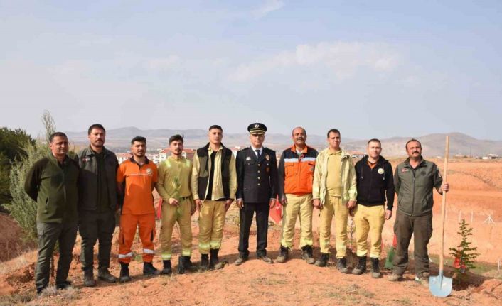 Kırşehir’de şehitler anısına 500 fidan toprakla buluştu