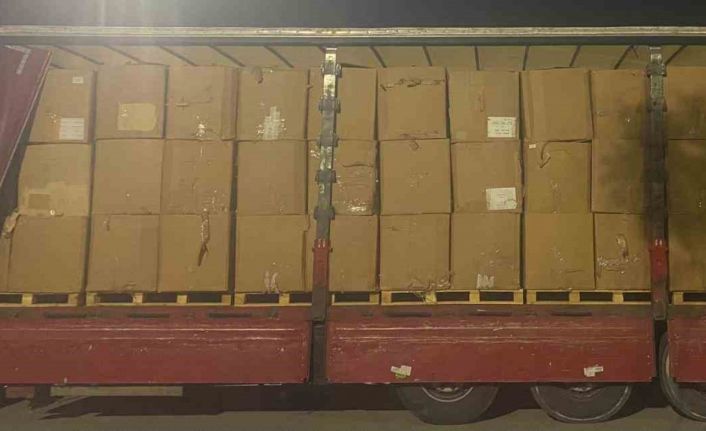 Kocaeli’de sahte belgeli tırda tonlarca kaçak tütün ele geçirildi