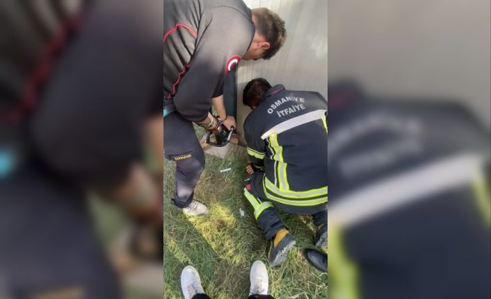 Konteyner ile duvar arasına sıkışan yavru kedi kurtarıldı