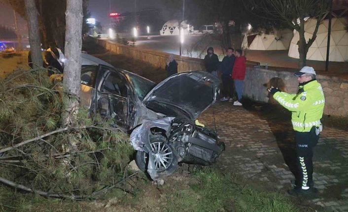 Kontrolden çıkan otomobil, direk ve ağaçlara çarptı: 1 yaralı