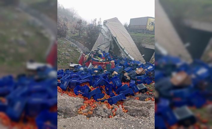 Kontrolden çıkan sebze yüklü tır devrildi: 1 yaralı