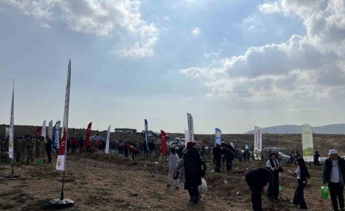 Konya’da 33 bin 811 fidan toprakla buluştu