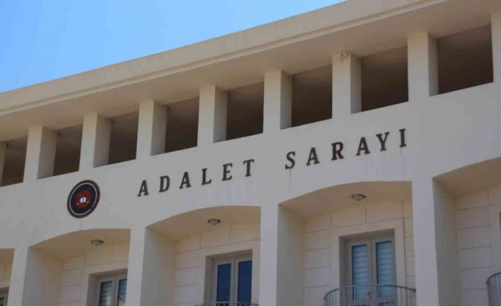 Köpekleri tüfekle vuran şahıs tutuklandı