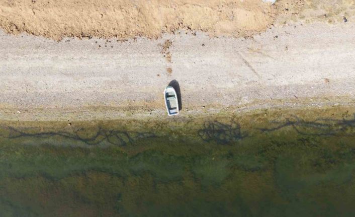 Kuraklık riski büyüyor, çiftçiden uyarı: "Suyu dikkatli kullanmazsak ekmeğimizi kaybederiz"