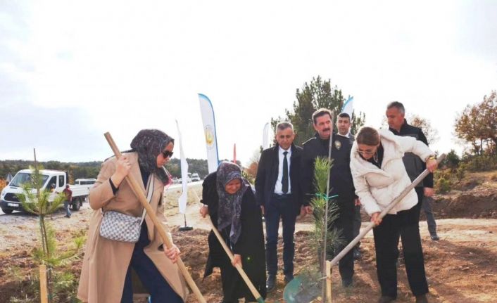 Kütahya’da şehitler için 350 fidan toprakla buluştu