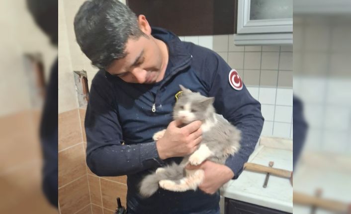 Malatya’da havalandırma boşluğuna düşen kedi kurtarıldı