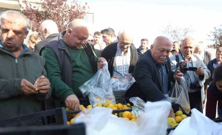 Mandalinanın fiyatı 2 TL’ye düşünce tonlarca ürünü vatandaşlara ücretsiz dağıttılar