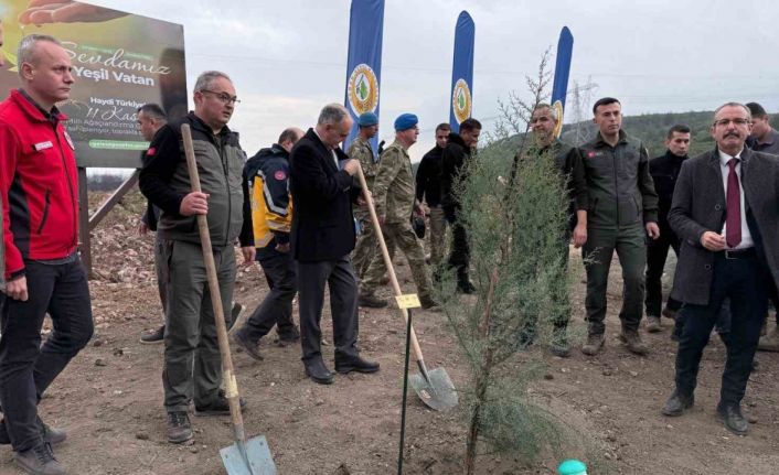 Manisa’da 2025 sonuna kadar 3,1 milyon fidan toprakla buluşacak