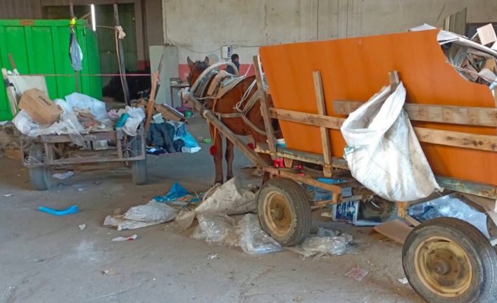 Manisa’da at arabası operasyonu: İki at arabası trafikten men edildi