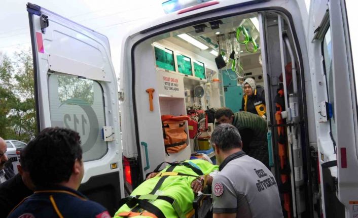 Mantar toplarken ayının saldırısına uğrayan imam yaralandı