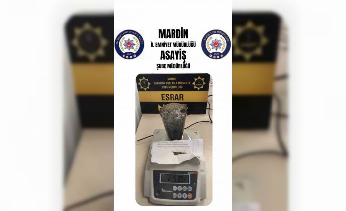 Mardin’de uyuşturucu operasyonu: 2 gözaltı