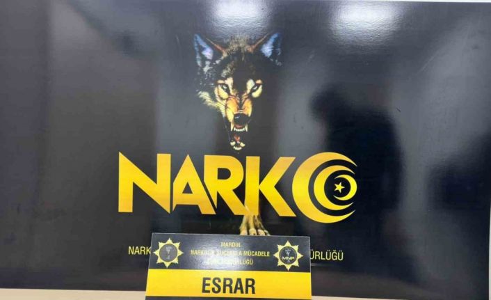 Mardin’de uyuşturucu operasyonunda 2 şüpheli yakalandı