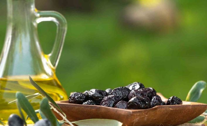 Marmarabirlik’ten 761 milyon liralık ödeme