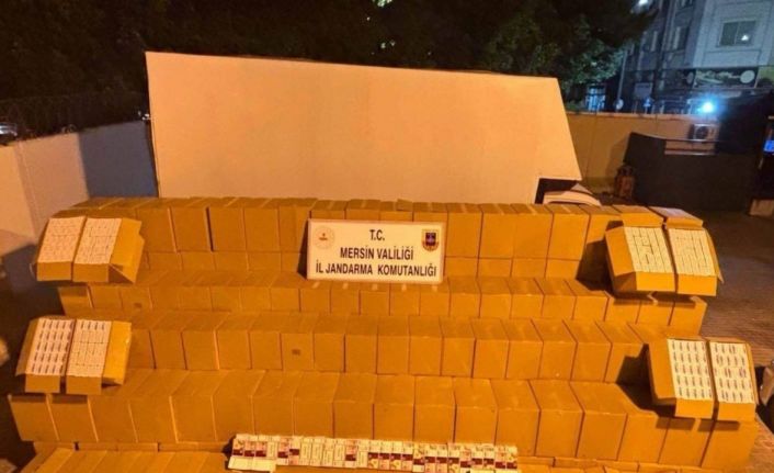 Mersin’de kaçak makaron operasyonu: 2 gözaltı