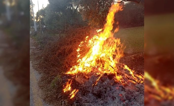 Milas’taki orman yangınları büyümeden söndürüldü