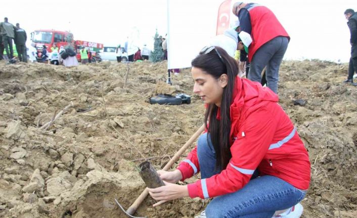 Milli Ağaçlandırma Günü’nde Uşak’ta fidanlar toprakla buluştu