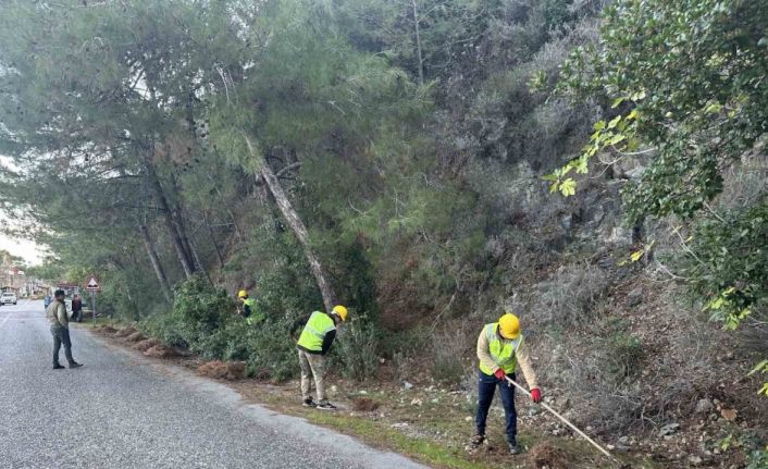 Milli Park’ta risk azaltma çalışmaları sürüyor