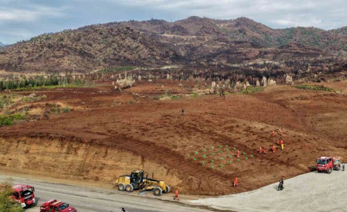 Muğla Orman Bölge Müdürlüğü ‘Yeşil Vatan’ seferberliğine hazır