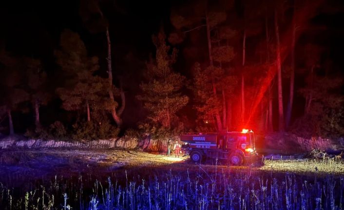 Muğla’da çıkan orman yangını kısa sürede kontrol altına alındı