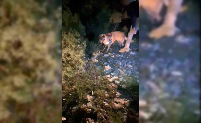 Muğla’da piyasa değeri 4 milyon TL olan uyuşturucu ele geçirildi