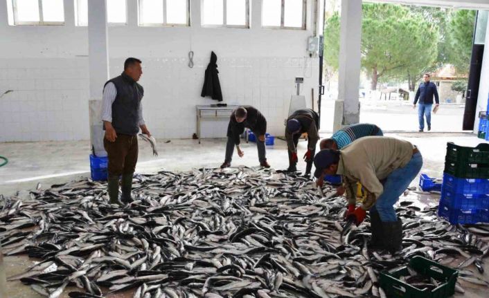 Muğla’dan 10 ayda 618 milyon dolar balık ihracatı