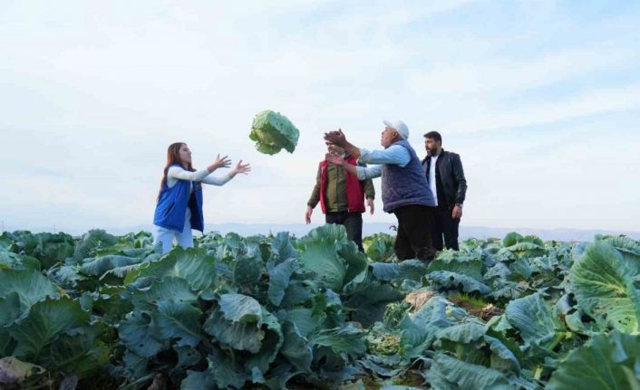 Muş Ovası’nda gönüllü gençlerden çiftçilere hasat desteği