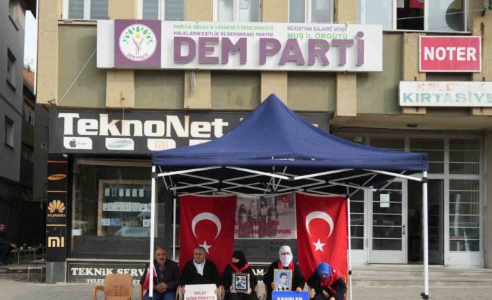 Muşlu annelerin evlat nöbeti sürüyor