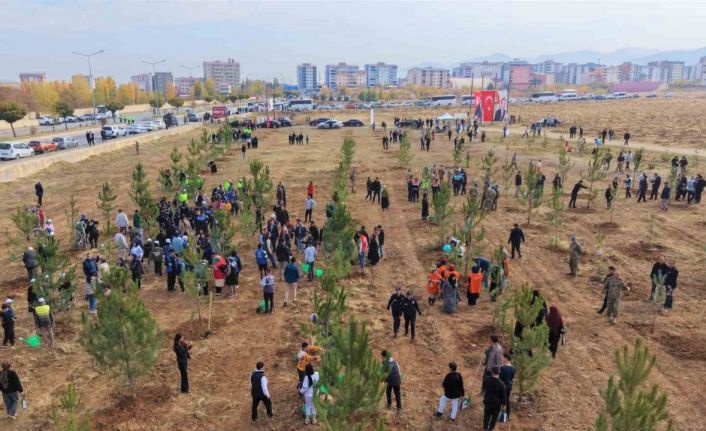Muş’ta 20 bin fidan toprakla buluşturuldu