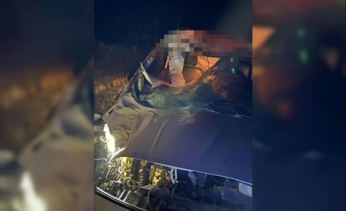 Muş’ta hafif ticari araç ata çarptı: 2 yaralı