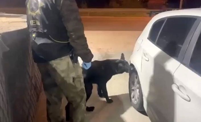 Narkotik köpeği Tony bagajdaki uyuşturucuyu buldu