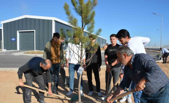 NEÜ, iki farklı etkinlikle şehitlerin hatırasını yeşertti