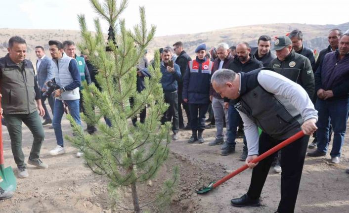 Nevşehir’de 18 bin 500 fidan toprakla buluştu