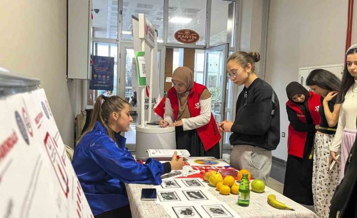 Obeziteye karşı uygulamalı Beden Haritası etkinliği