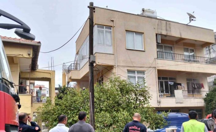 Ocakta unutulan yemekten çıkan yangında 2 kedi telef oldu