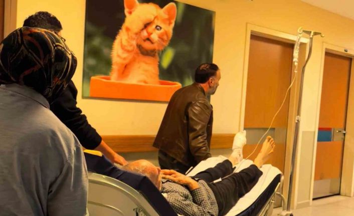 Odun kesmek isterken, ayağını kesti