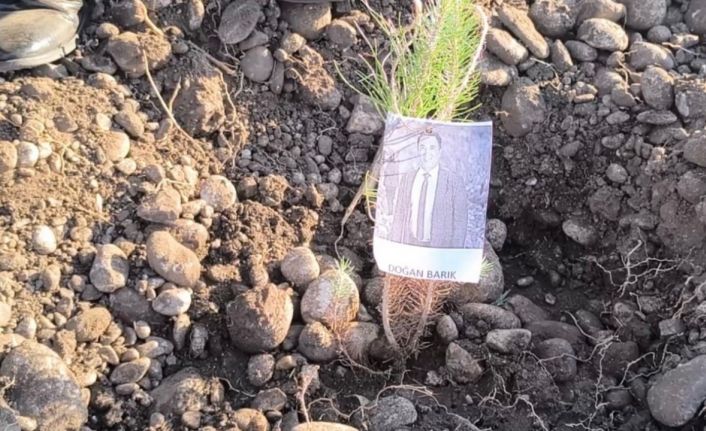 Öğretmenler, şehit ve depremde kaybedilen meslektaşları için fidan dikti