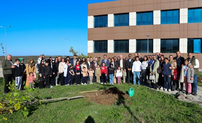 OMÜ’de Diyabet Günü etkinliğinde fidanlar toprakla buluştu