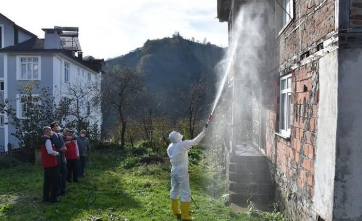 Ordu’da kokarcaya karşı 330 bin kışlak ilaçlanacak